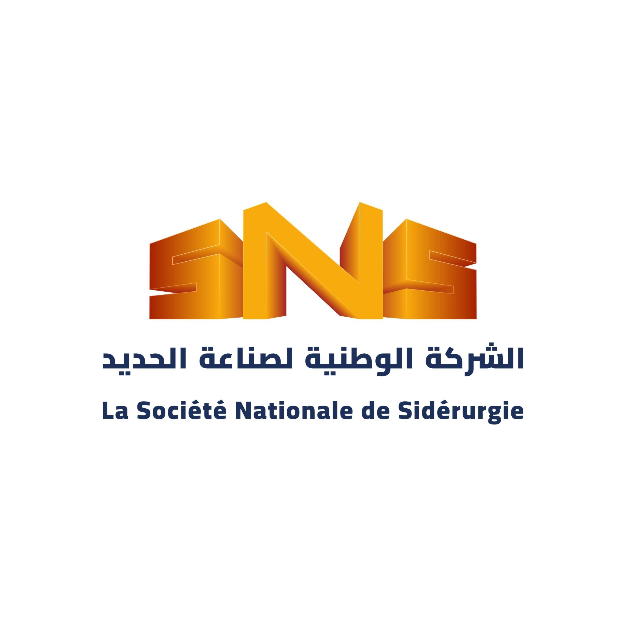 SNS Holding